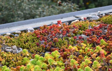 the cost of Ystumtuen green roof installation