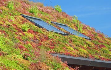 Ystumtuen living roof systems