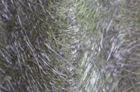 Ystumtuen fibreglass roof work